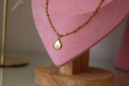 Gold Satellite Necklace, Shell Pendant