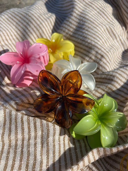 Plumeria Claw Clip